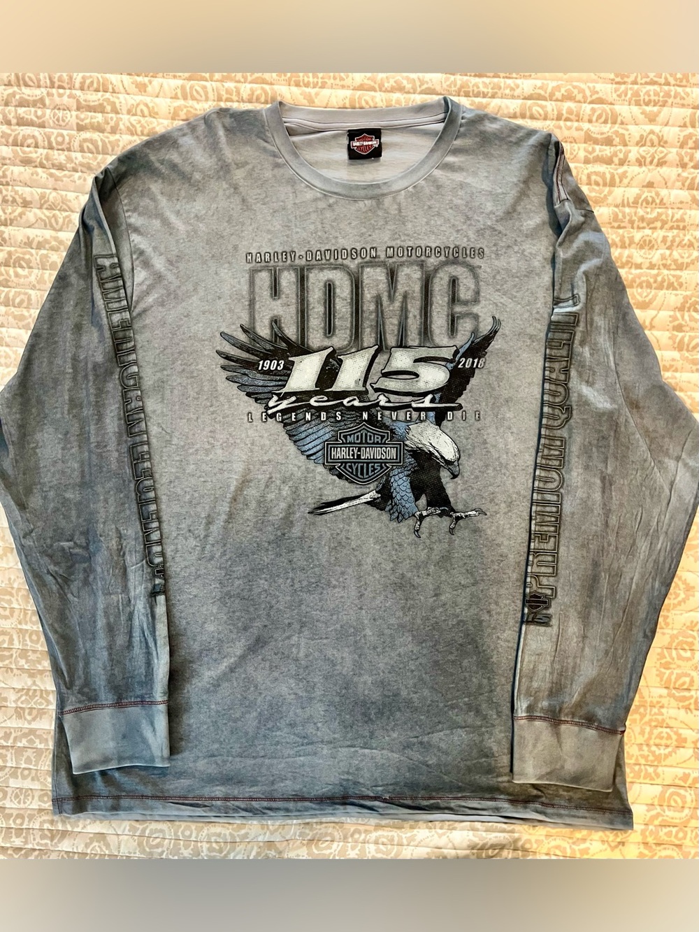 Harley-Davidson Men's Washed Gray Graphic Long-Sleeve Shirt NWOT 3XL